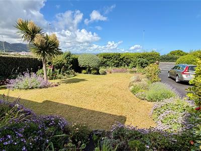 Picture 24